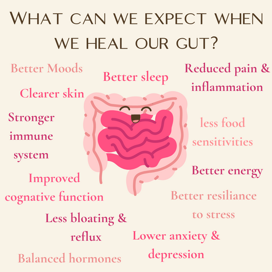 What do I mean when I say 'Gut Health' & why do I nag you about it?